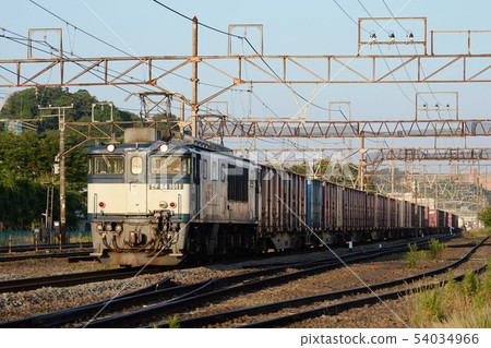 Morning EF 64 54034966