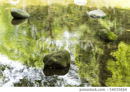 Landscape of pond of Japanese garden 54035684