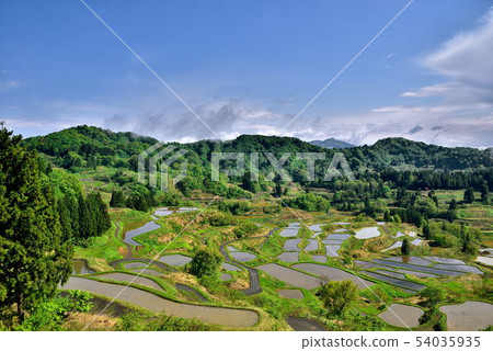 Rice terraces Rice terraces 54035935
