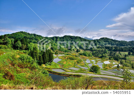 Rice terraces Rice terraces 54035951