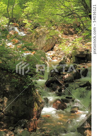 Yonagogawa origin 54036121