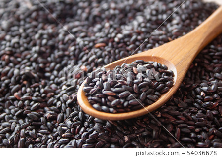 Black rice (Kuromai, Kurogome), or purple black rice (Shikokumai) or purple rice (Murasakii). Purple rice in China, purple 54036678