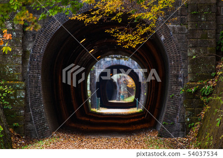 秋天臼井山口Apt路連續隧道 54037534