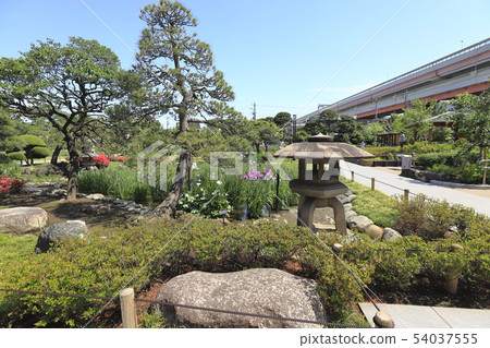 Horikiri Gion燈籠和五顏六色的鮮花 54037555