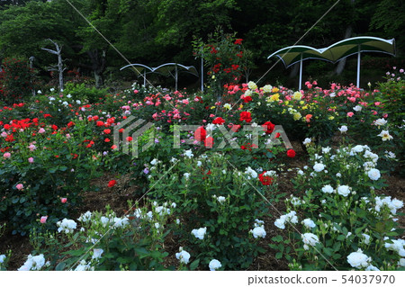 Hanamaki Onsen Rose Garden Hanamaki Onsen Rose Garden 54037970