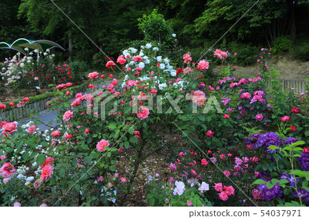 Hanamaki Onsen Rose Garden Hanamaki Onsen Rose Garden 54037971