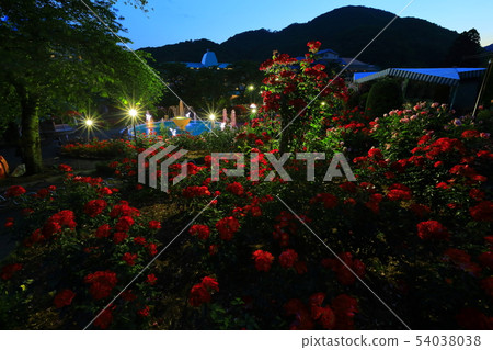 Light up of Hanamaki Onsen Rose Garden 54038038