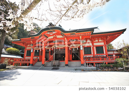 Wakayama Kada Awashima Shrine 54038102