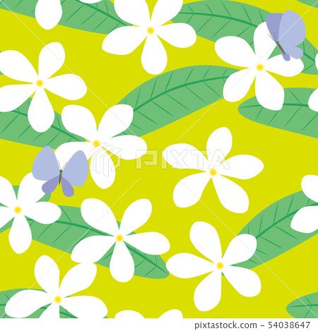 樣式赤素馨花和蝴蝶綠色黃綠色 54038647