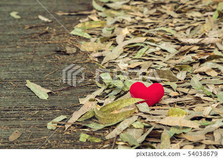 A little red heart pillow falls on the dry leaf A little red heart pillow falls on the dry leaf 54038679