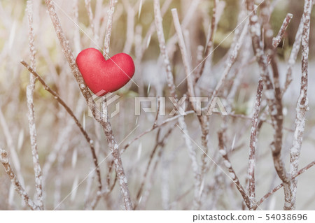 A little red heart pillow on dry tree. 54038696