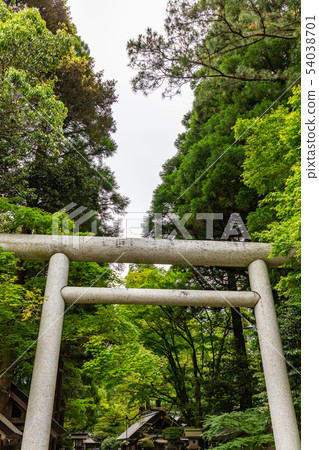 Nino Torii Amiwato Shrine Nino Torii Amiwato Shrine 54038701