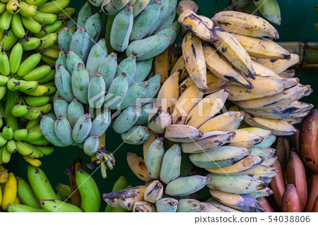 Many kind of bananas are nicely set and displayed Many kind of bananas are nicely set and displayed 54038806