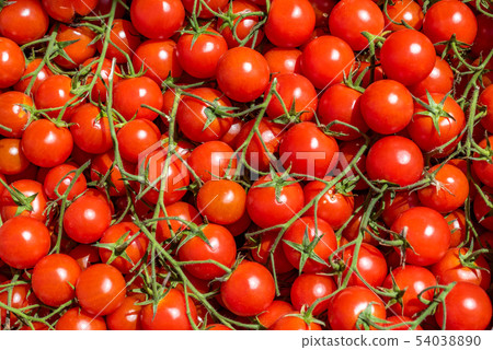 Red tomatoes background. Red tomatoes background. 54038890