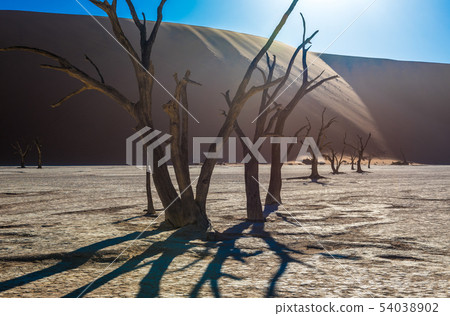 Dead Camelthorn Trees and red dunes in Deadvlei 54038902