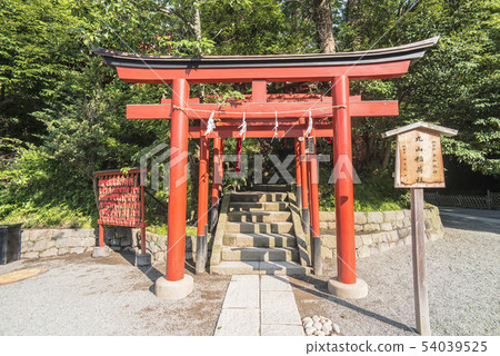 鶴岡八幡宮的丸山稻荷公司（鎌倉市雪見） 54039525