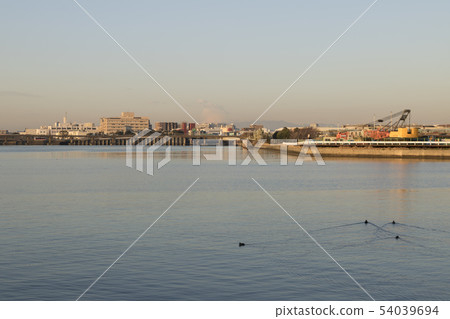 大森（冬天） 54039694