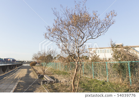 Jonanjima（冬季） 54039776