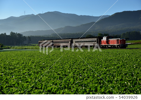 DD16 old passenger car 54039926