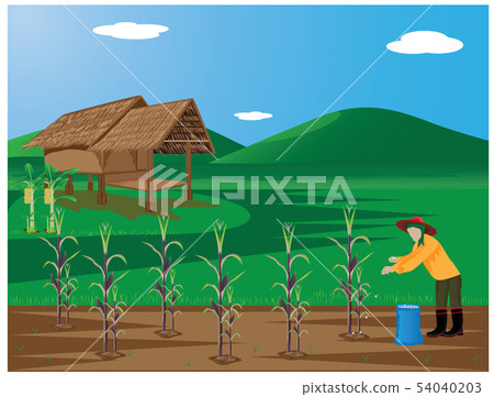 agriculturist manure corn plant vector design agriculturist manure corn plant vector design 54040203