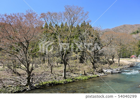 Takatoki River, a clear stream in the Hubei region of Shiga Prefecture 54040299