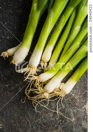 Green spring onions. Green spring onions. 54040453