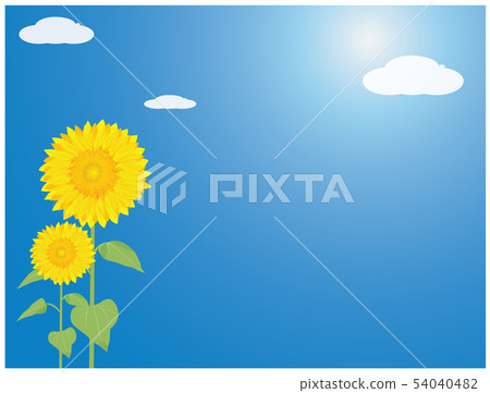 sunflower with sky background sunflower with sky background 54040482