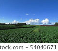 A field in Memanbetsu 54040671