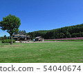 Jin Chun Park 54040674