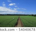 A field in Memanbetsu 54040678