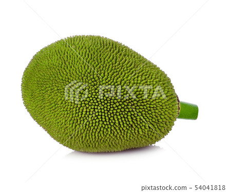 Jackfruit isolated on white background 54041818