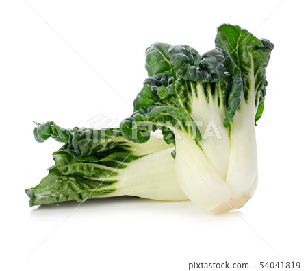 Bok choy (chinese cabbage)on white background 54041819