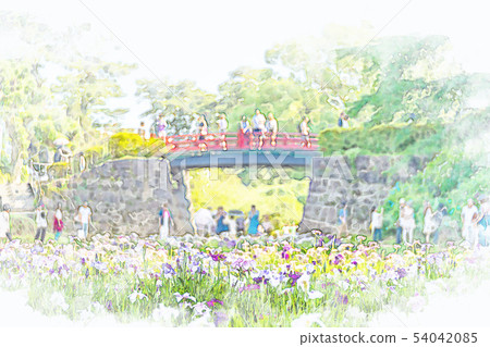 Watercolor Style Odawara Castle Ajisai Stock Illustration