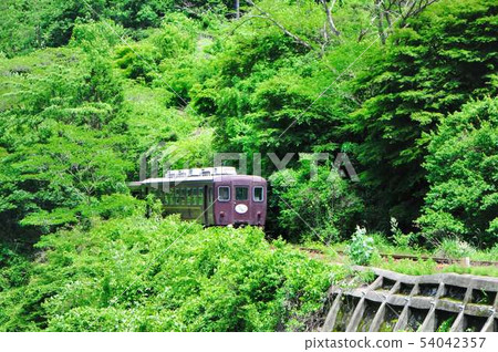 Watarase谷鐵路卡車火車普及 54042357