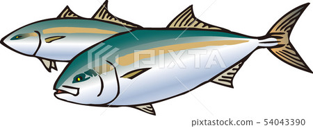 黃尾魚 54043390