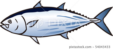 Bonito 54043433
