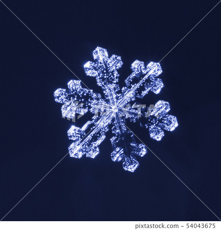 Blue toned snowflake Blue toned snowflake 54043675