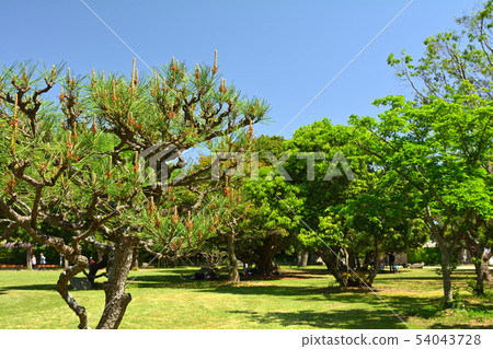 Japan 100 Great castle · Akashi castle Japan 100 Great castle · Akashi castle 54043728