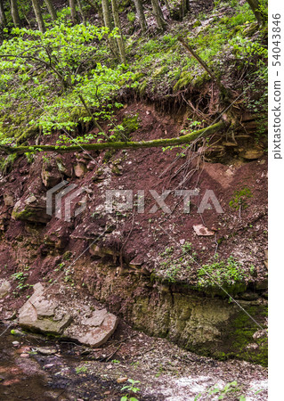 a steep bank of forest river a steep bank of forest river 54043846
