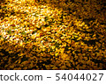 落葉地毯 54044027