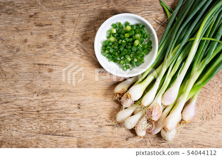 fresh spring onions fresh spring onions 54044112