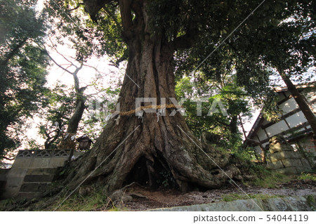 Shikabayashi神社 54044119