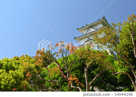 日本100大城堡·明石城堡 日本100大城堡·明石城堡 54044190