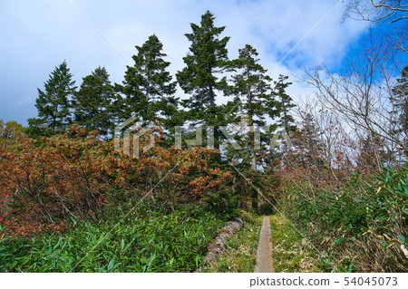 在Oze鴿子一側接近1800米 54045073