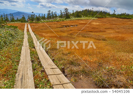 秋天Oze Shibutsuyama的Oyama Sawadayo東南部的日光Shirane山區景觀 54045106
