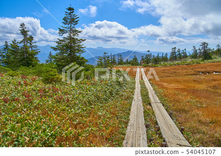 秋天Oze Shibutsuyama的Oyama Sawadayo東南部的日光Shirane山區景觀 54045107