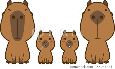 卡皮帕拉家族 54045871