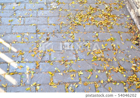 The floor is made of brick block. The floor is made of brick block. 54046202