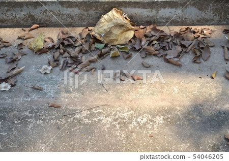 The floor is made of brick block. The floor is made of brick block. 54046205