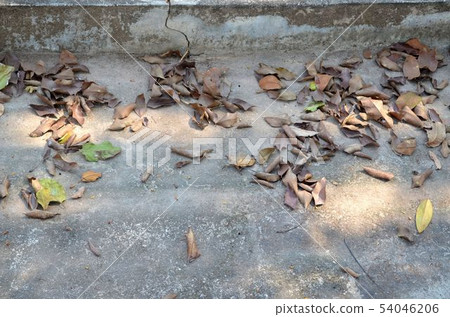 The floor is made of brick block. The floor is made of brick block. 54046206